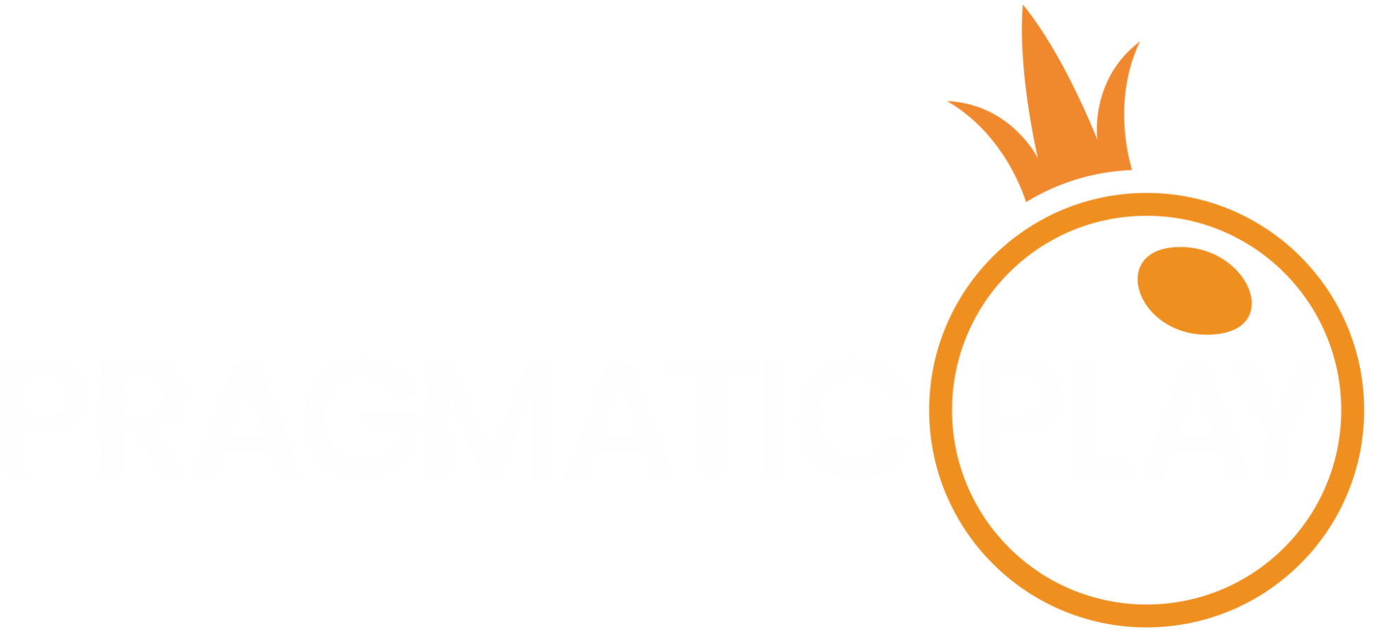 Provider Logo